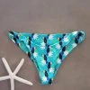 Dollboxx Betty Cheeky Bikini Bottom - Toucan Party