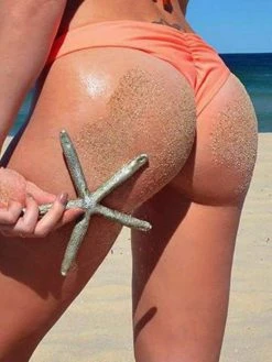 Dollboxx Flaunt It Cheeky Bottoms - Orange Pop -Dollboxx Import Shop Flaunt It Cheeky Bottoms Orange Pop Swimwear dollboxx 3 4e2c13fe 7c18 4022 8603 0a56a87aea62