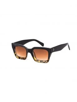 Dollboxx Teddy - Black Tort Sunglasses